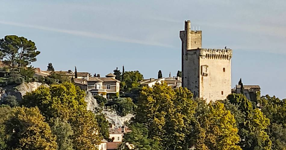 Visite guidée : Villeneuve, l'autre capitale des Papes@CPoirier Grand Avignon