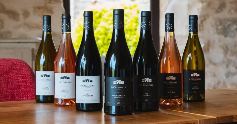 Vignobles en scène : Dégustation de vieux millésimes au domaine La Citadelle@La Citadelle