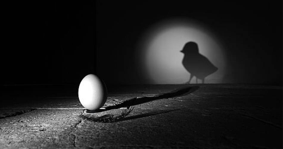 Exposition de photographies "Jeux d'ombres en Noir et Blanc"@Mairie ISL