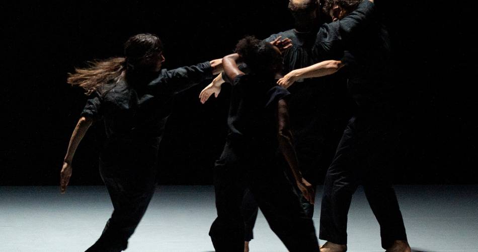 Danse - A l'ombre d’un vaste détail, hors tempête.@Christian Rizzo (c) Marc Domage