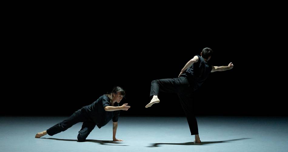 Danse - A l'ombre d’un vaste détail, hors tempête.@Christian Rizzo (c) Marc Domage