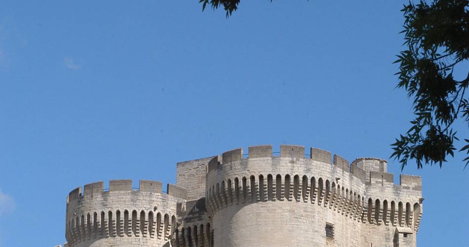 Visites théâtralisées : le roi, l'abbé et le rocher, à la naissance du fort ! 800 ans du Fort@Mairie de Villeneuve lez Avignon