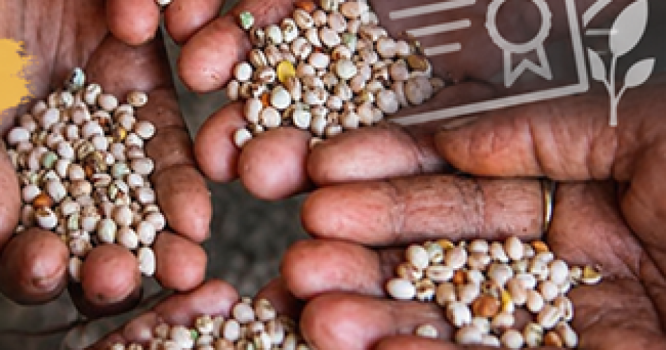 Le brevetage du vivant : main basse sur l’agriculture de demain ?@©Café des Sciences