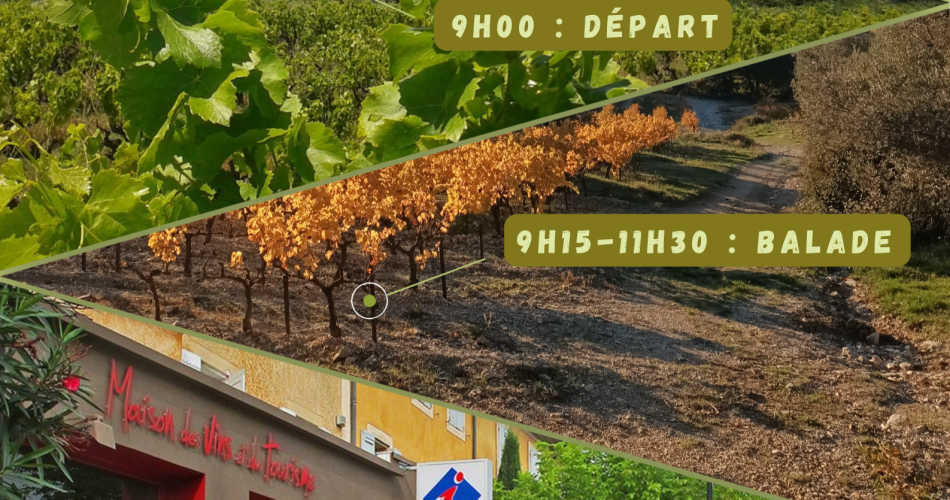Vignobles en Scène - Een meeslepende wandeling in Sablet@Vignobles en Scène - Balade immersive à Sablet_Sablet