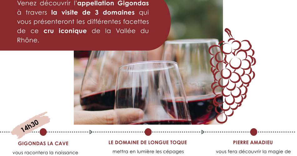 Vignobles en Scène : Immersion historique et gustative dans l'appellation Gigondas@Gigondas LaCave - Domaine de Longue Toque - Pierre Amadieu