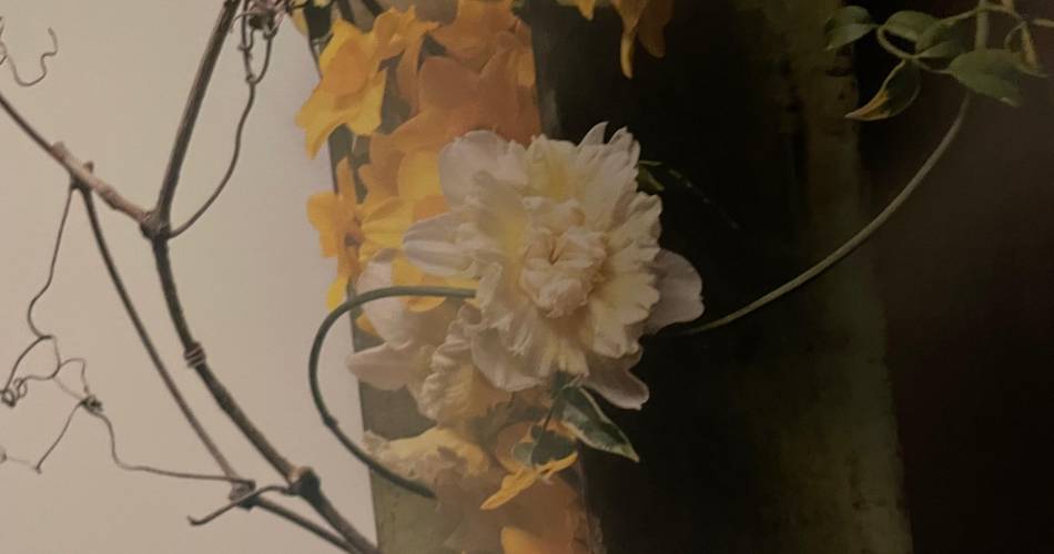 Cours d'art floral japonais - École Sogetsu@BIGEY