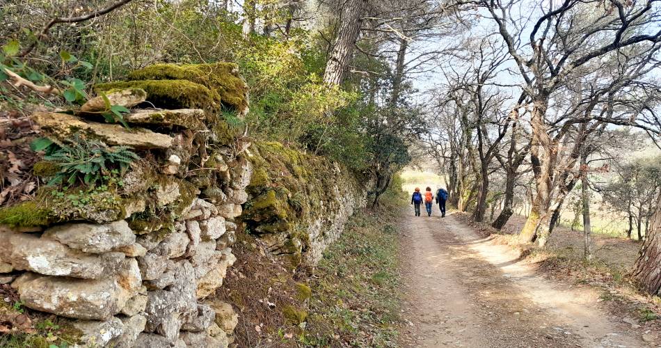 Sortie buissonnière "Sentier des ribas du Vieil-Oppède"@pnrl