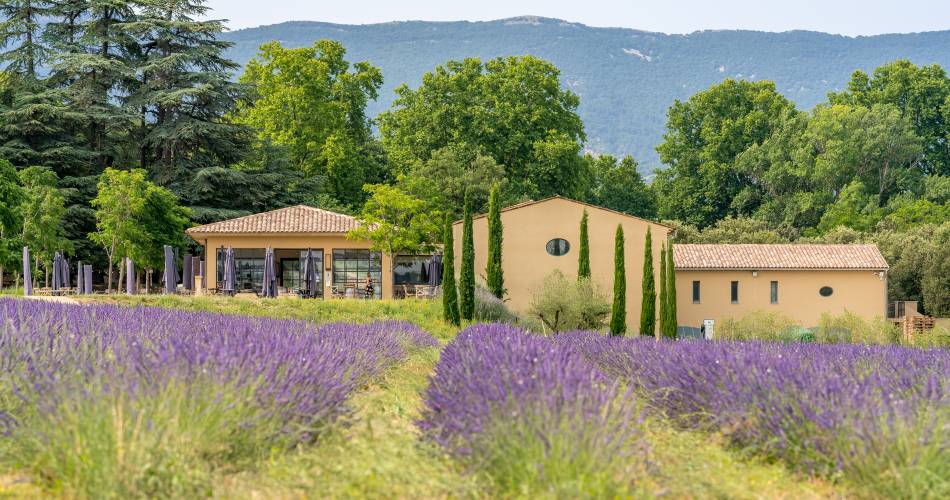 Dégustation gratuite et tour autonome au Château de Sannes@Visite : Secrets de la Vigne au Château de Sannes_Sannes