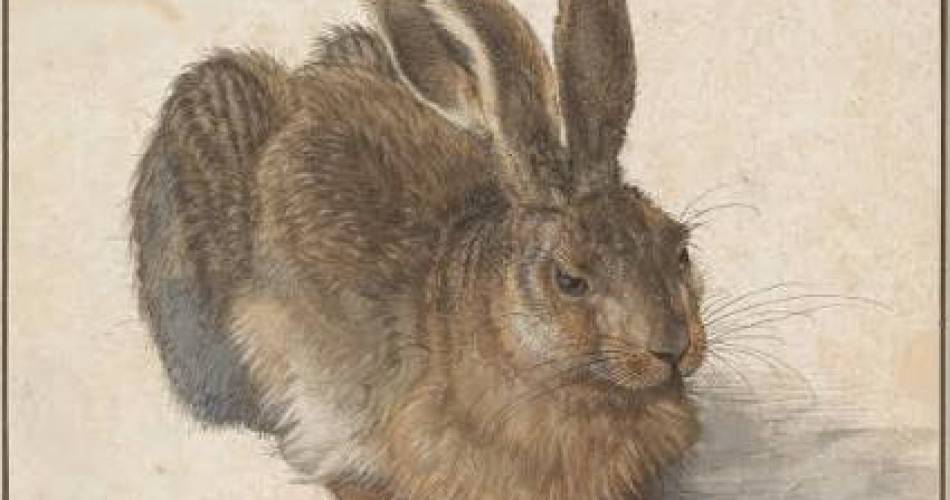 La fête de la science et la micro-folie "Les artistes et la nature"@A. Durer