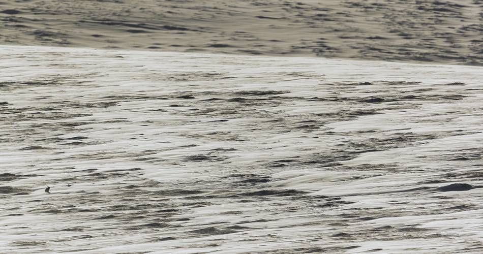 Exposition photographique "Invisible"@© Stéphanie & David Allemand