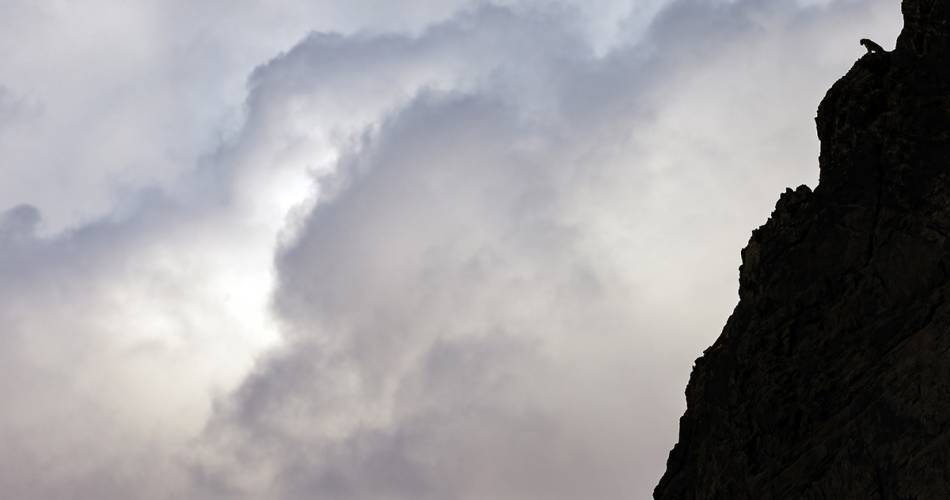 Exposition photographique "Invisible"@© Stéphanie & David Allemand