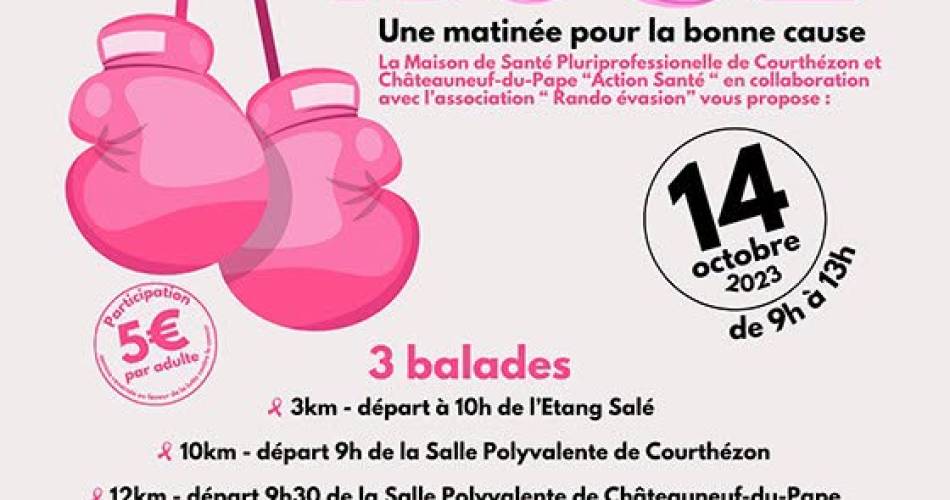 Octobre Rose : Une matinée pour la bonne cause@© Ville de Courthézon