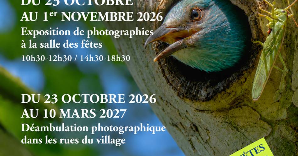 Exposition d'automne et d'hiver du Club Photo de Saignon@Agnès Vidal
