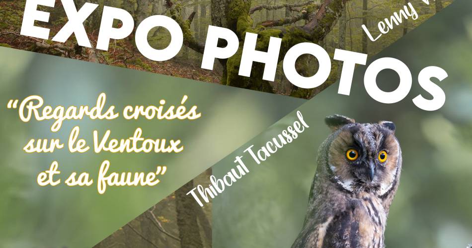 Exposition Photos - Regards croisés sur le Ventoux et sa faune@Service communication