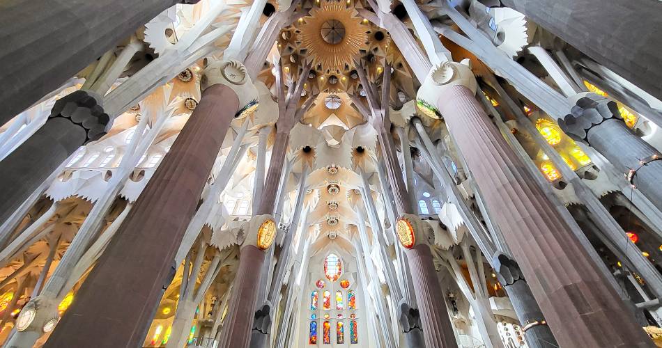 Projection : La Sagrada Familia, le rêve achevé de Gaudi@Pixabay