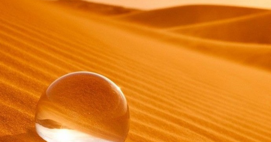 Couleurs du sud@ACMAA