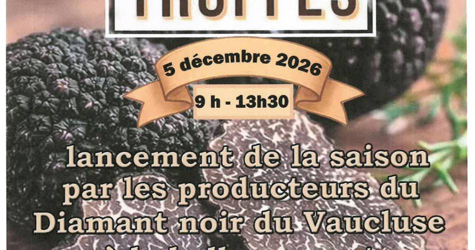 Marché aux truffes@Marché aux truffes_Pernes-les-Fontaines