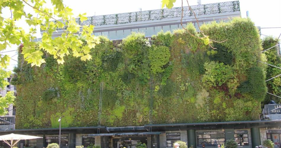 Mois des produits tripiers aux Halles@© PBar / Avignon Tourisme