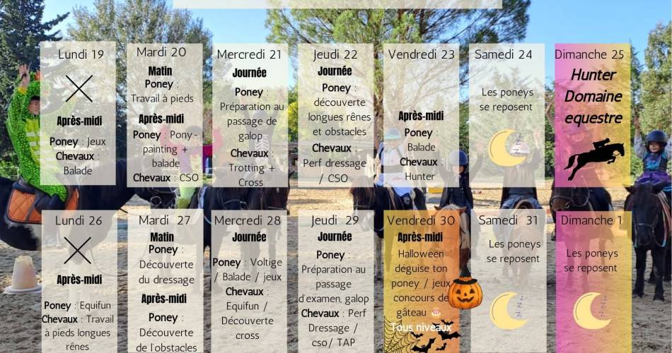 Vacances d'octobre au Domaine équestre de l'ouvèze@© Domaine équestre de l'ouvèze