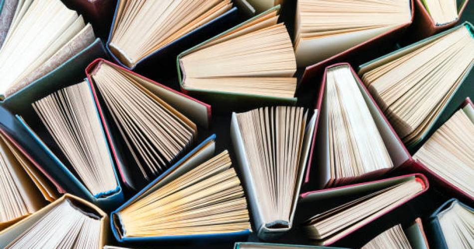 Rencontre "COUP DE COEUR" à la Bibliothèque pour tous@pixabay