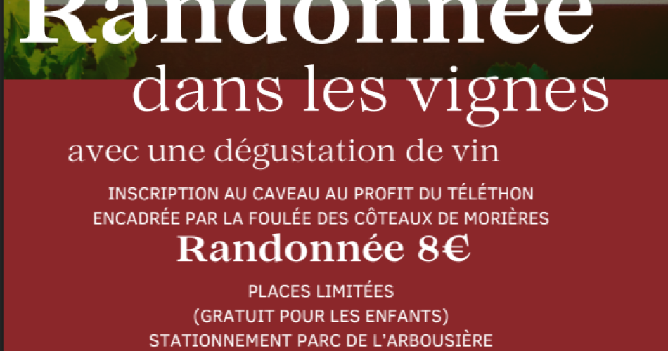 Randonnée dans les vignes@Reçu par mail