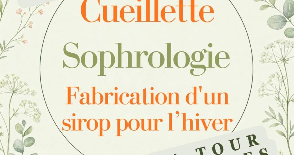 sortie en nature, sophro dynamique, cueillette et réalisation d’un sirop pour l’hiver à La Tour d'Aigues@sortie en nature, sophro dynamique, cueillette et réalisation d’un sirop pour l’hiver à La Tour d'Aigues_La Tour-d'Aigues