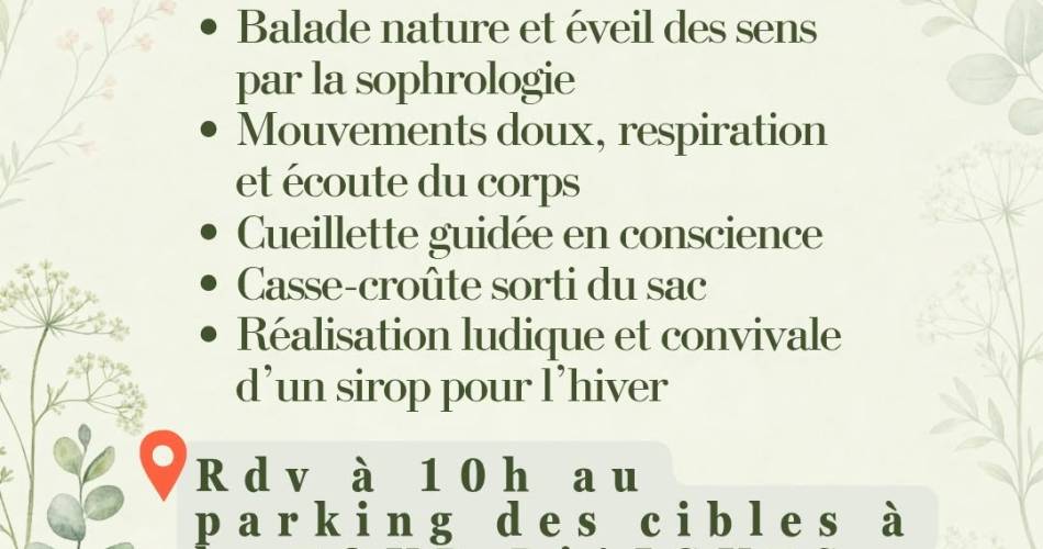 sortie en nature, sophro dynamique, cueillette et réalisation d’un sirop pour l’hiver à La Tour d'Aigues@sortie en nature, sophro dynamique, cueillette et réalisation d’un sirop pour l’hiver à La Tour d'Aigues_La Tour-d'Aigues