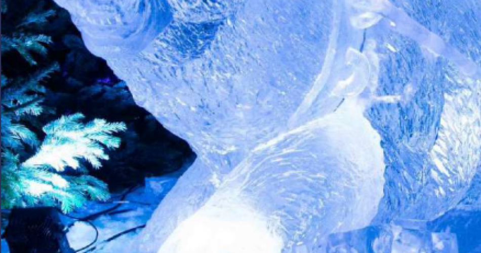 Le Palais des Glaces@©Ville d'Avignon