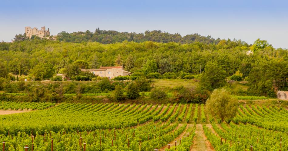 BORÉLIS - Cave de Bonnieux@© Naëlle Mathieu