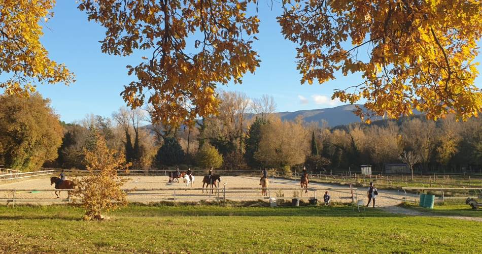 Les Ecuries du Luberon - Ecole d’Equitation -  Loisirs - Balades@Les E du Luberon