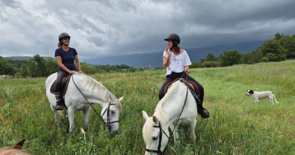 Les Ecuries du Luberon - Ecole d’Equitation -  Loisirs - Balades@les E du Luberon