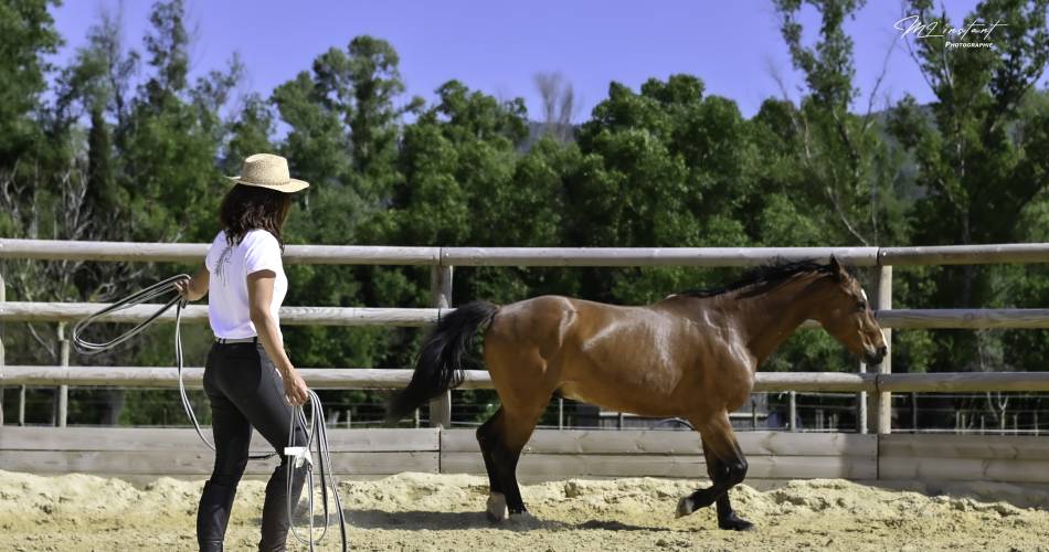 Les Ecuries du Luberon - Ecole d’Equitation -  Loisirs - Balades@Les E du Luberon