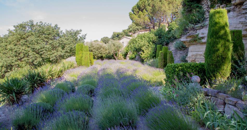 Le jardin de la Louve@VPA / A. Hoquel