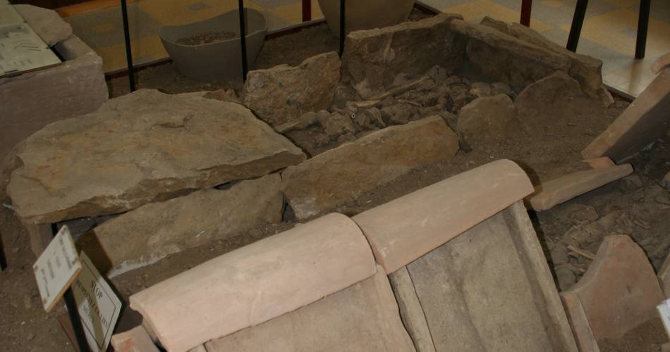 Musée de pays - Archéologie et Paléontologie@Muriel Pellegrin