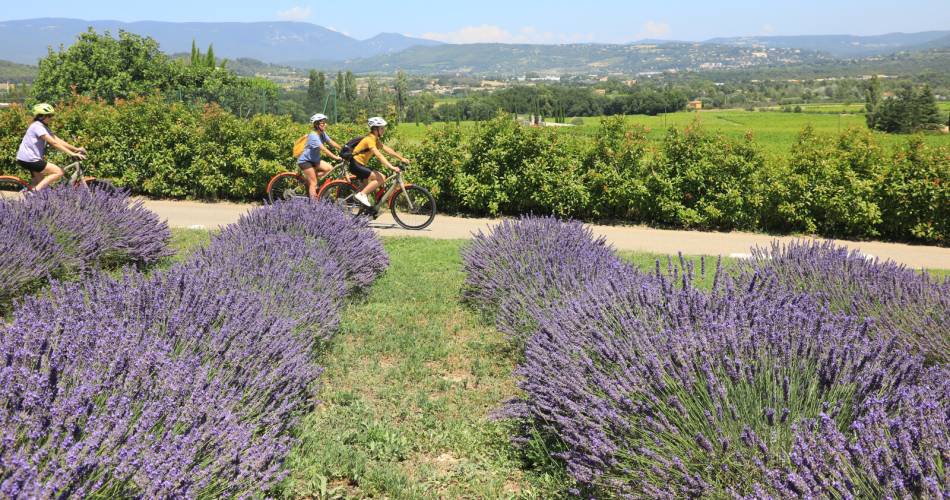 Radfahren in la Coquillade@Coquillade Provence