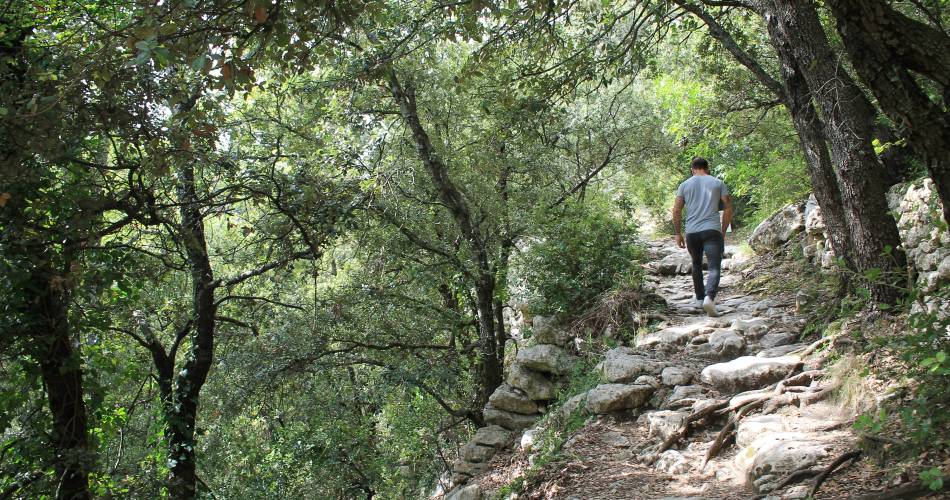 Le Fort de Buoux@© Office de Tourisme Pays d'Apt Luberon